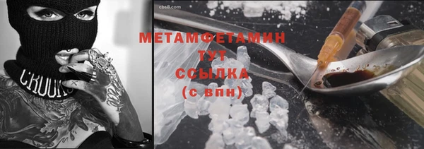 индика Володарск