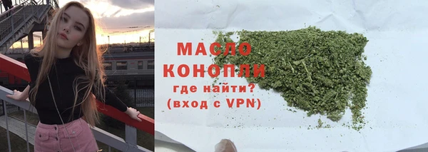 индика Володарск