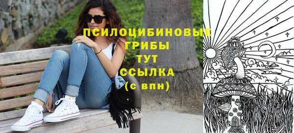 индика Володарск