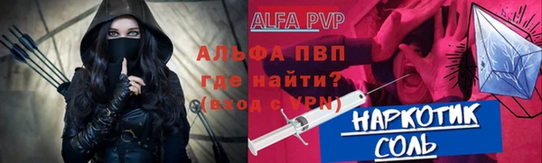индика Володарск