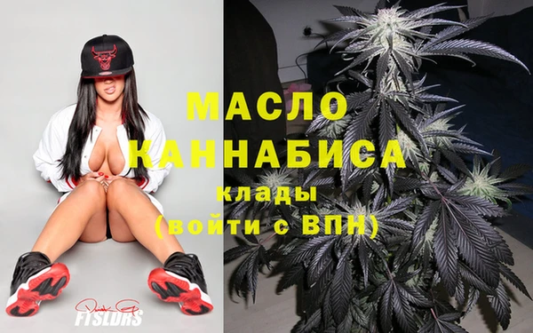 индика Володарск