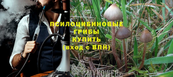 индика Володарск