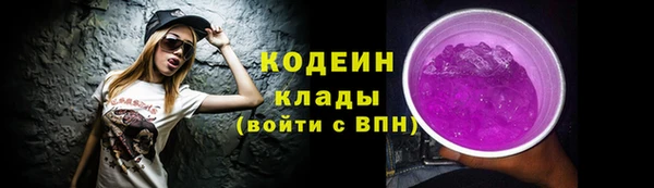 индика Володарск