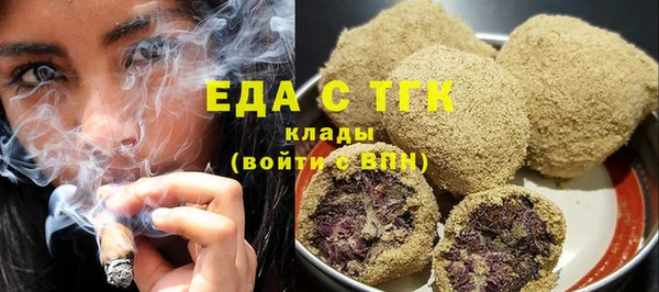 индика Володарск