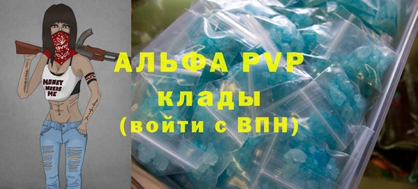 индика Володарск