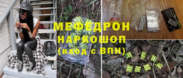 индика Володарск