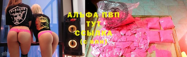 индика Володарск